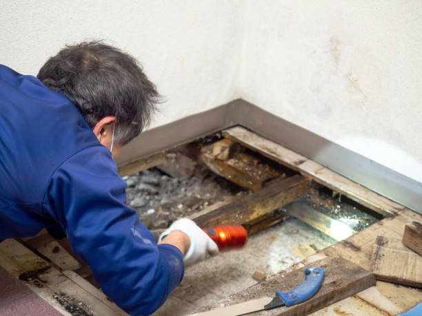  Grants Pass, OR Mold Removal Pros