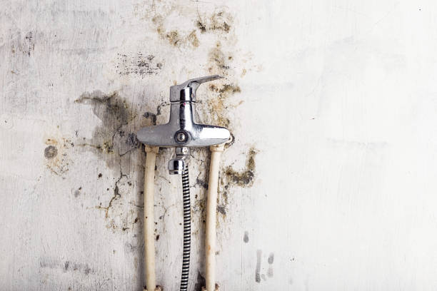 Best Emergency Mold Removal  in Grants Pass, OR