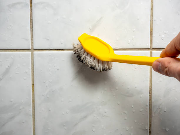 Best Residential Mold Removal  in Grants Pass, OR