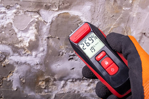 Best Local Mold Removal Service  in Grants Pass, OR