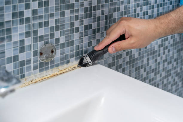 Best Attic Mold Removal  in Grants Pass, OR