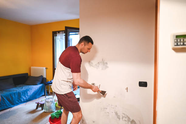 Best Mold Damage Repair  in Grants Pass, OR