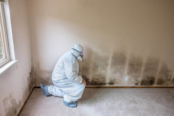 Best Crawl Space Mold Removal  in Grants Pass, OR