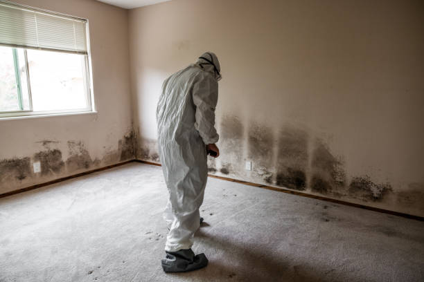 Best Mold Cleaning Services  in Grants Pass, OR